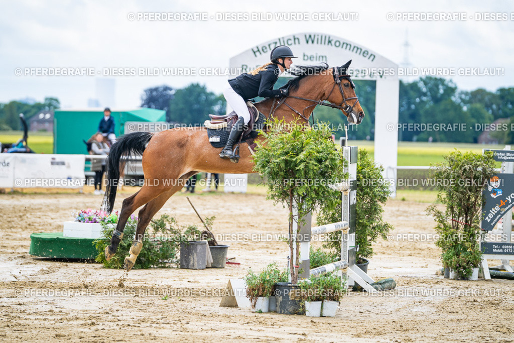 DSC04795 | Pferdegrafie