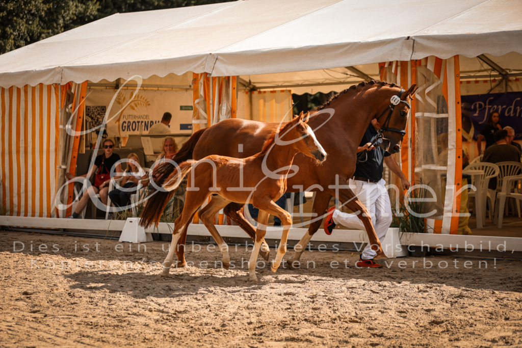 09.DoWBD00019 | Leoni Ertmer Photography - Realisiert mit Pictrs.com