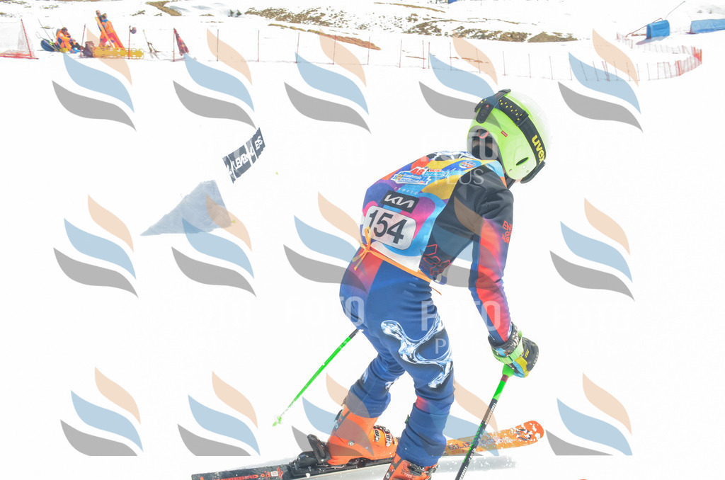 _ELE6357 | holidayphoto