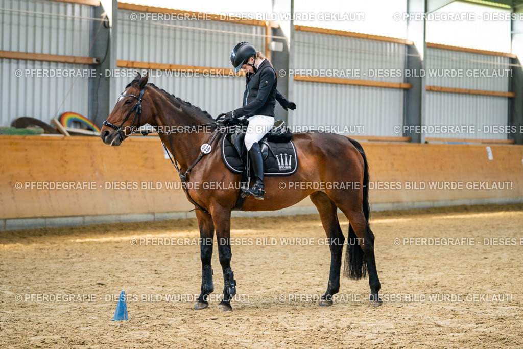 DSC01130 | Pferdegrafie