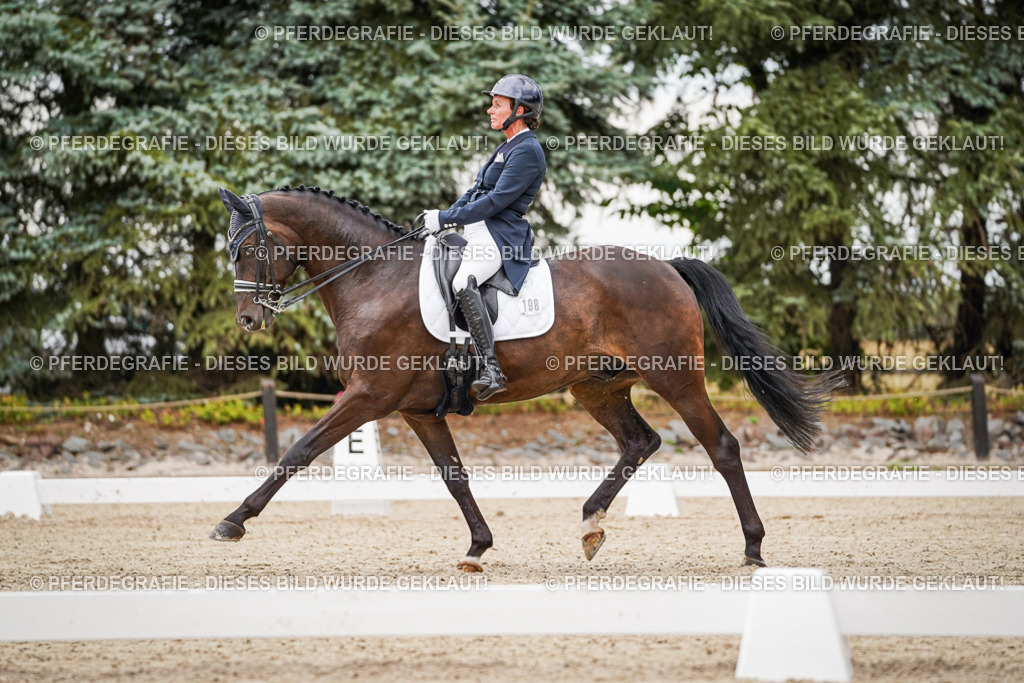 DSC07382 | Pferdegrafie