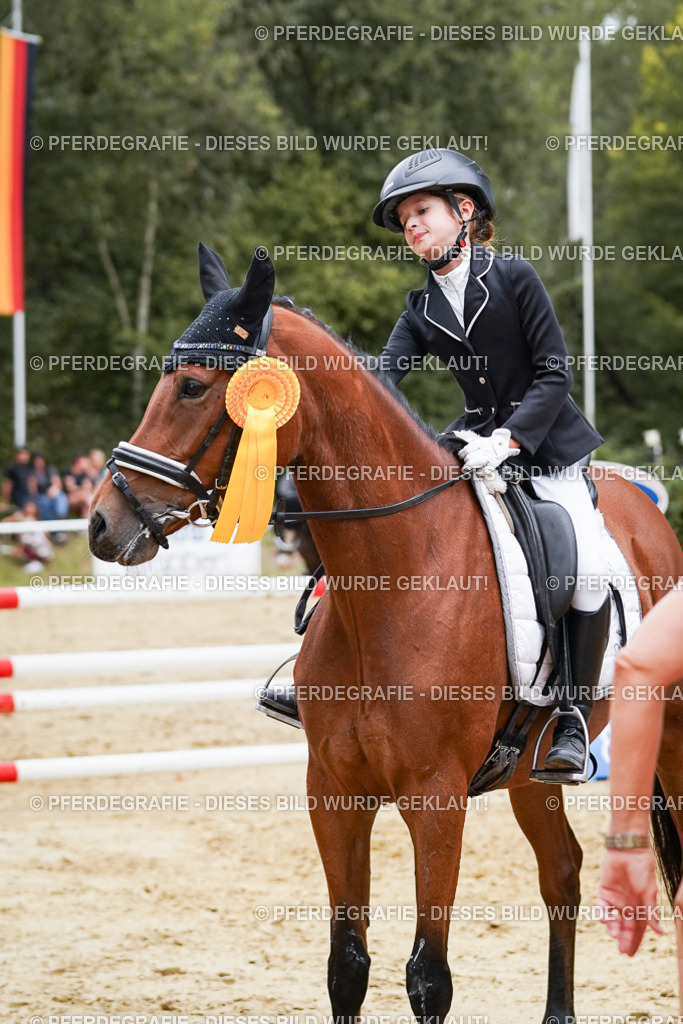 DSC06070 | Pferdegrafie