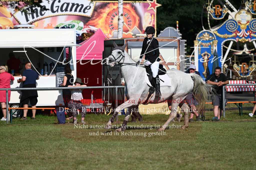 DSC_5083 | Pferde- und Turnierfotografie in Westsachsen. Pferdeportraits, Auftragszeichnungen und intuitive Kunst.