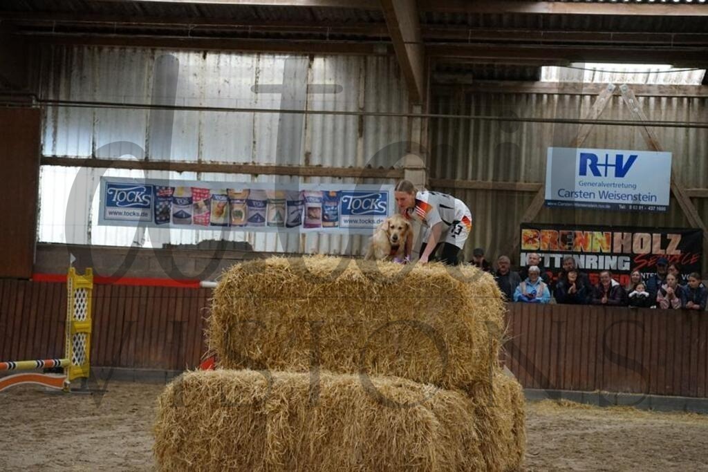 rsg berghof 3 (480) | d.tail Visions - Shop - Realisiert mit Pictrs.com