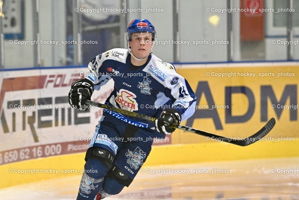 ESC Steindorf vs. EHC Althofen 13.1.2024 | #46 Maurer Julian