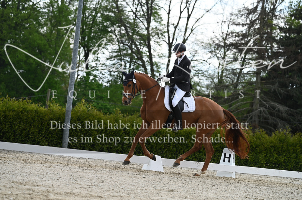 20230512_JK-Röhrsdorf-03-033 | Pferde- und Turnierfotografie in Westsachsen. Pferdeportraits, Auftragszeichnungen und intuitive Kunst.