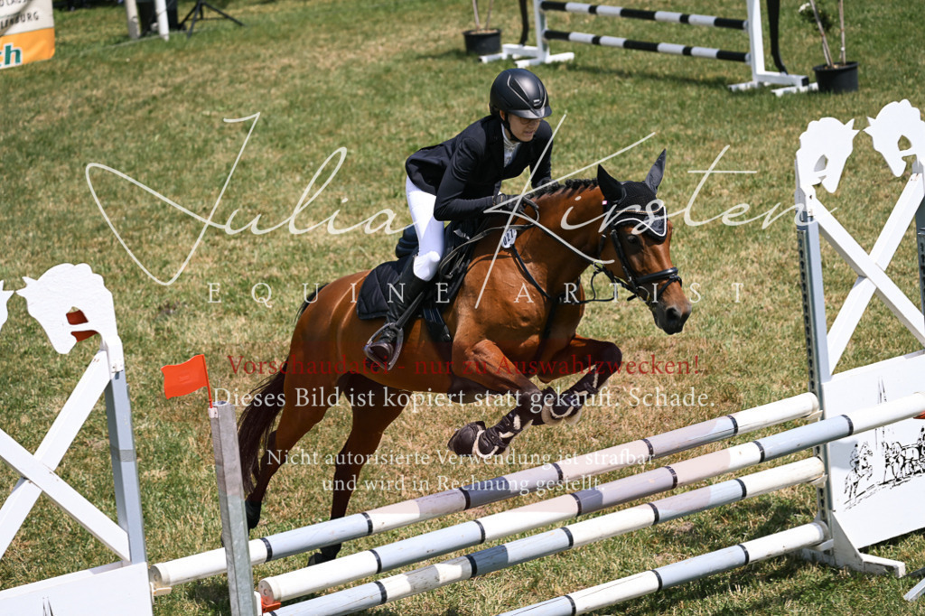 DSC_9519 | Pferde- und Turnierfotografie in Westsachsen. Pferdeportraits, Auftragszeichnungen und intuitive Kunst.