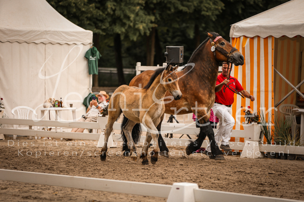 SaHF00073 | Leoni Ertmer Photography - Realisiert mit Pictrs.com