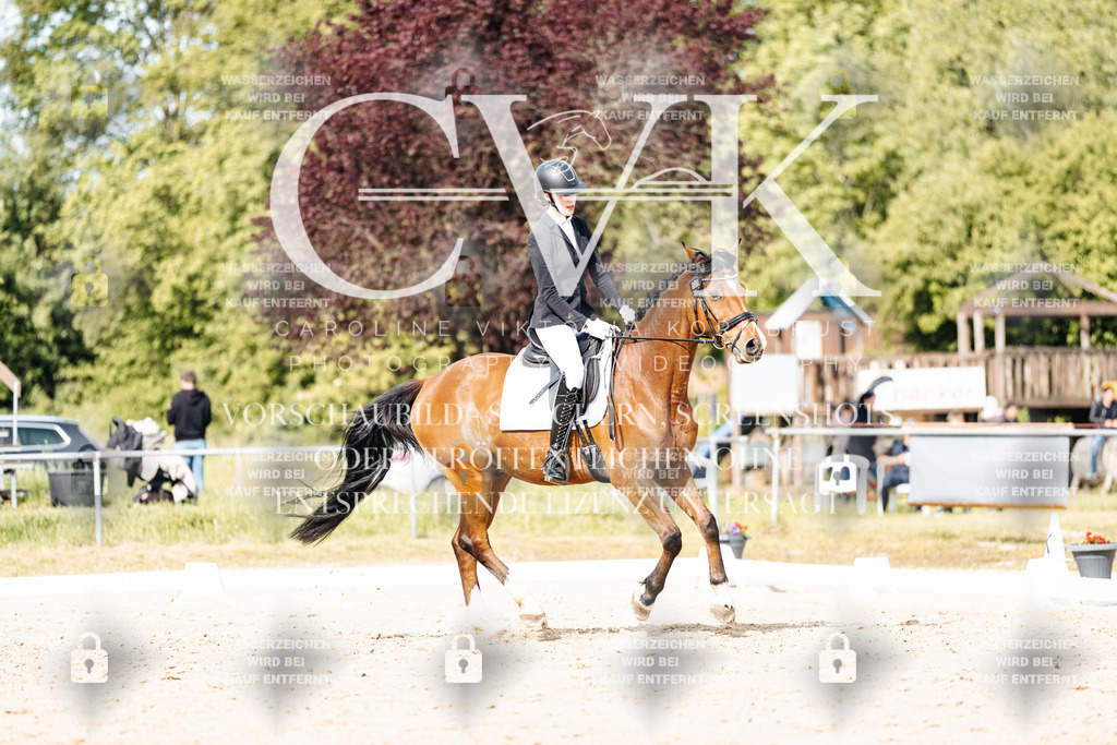 CK900538 | Turnierfotografie Pferdefotografie Trier Rheinland-Pfalz Pferdesport Reitsport Tierfotografie Sportfotografie Pferdevideo Pferdevideografie Equestrianvideography equestrianphotography  - Realisiert mit Pictrs.com