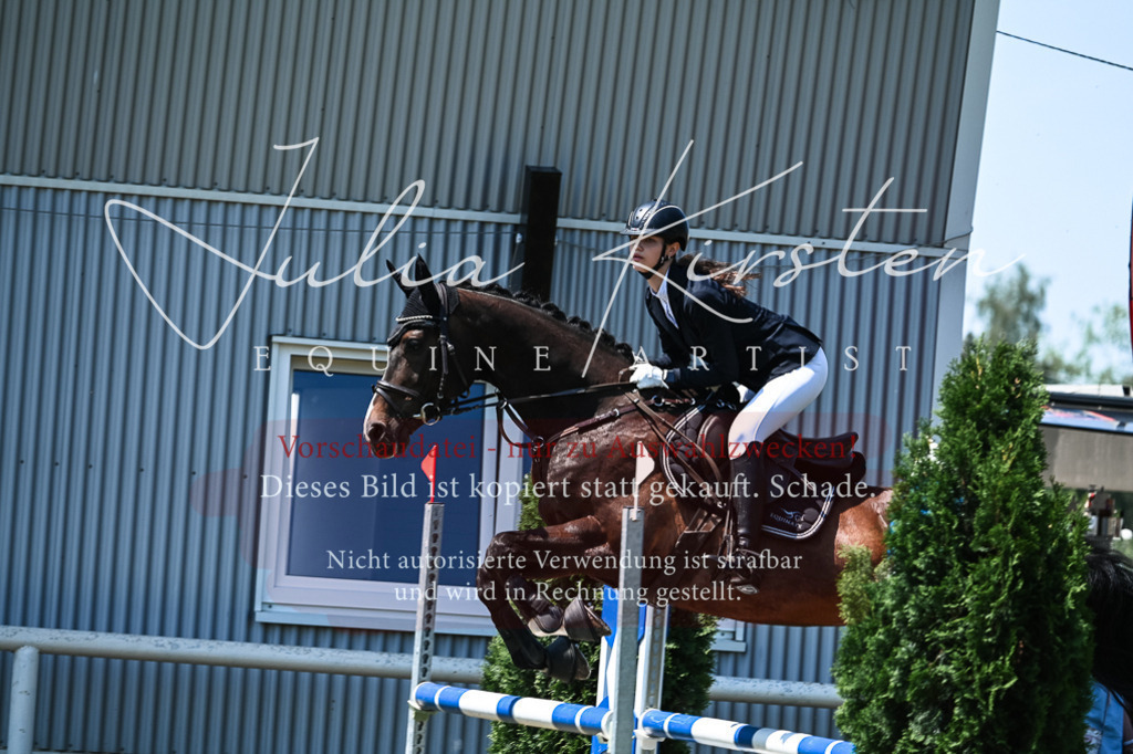 DSC_0446 | Pferde- und Turnierfotografie in Westsachsen. Pferdeportraits, Auftragszeichnungen und intuitive Kunst.