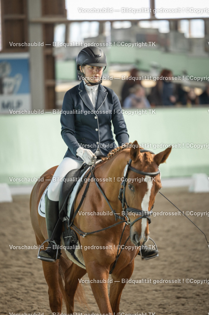 _D5A5573 | Emotionale Pferde- & People-Fotografie rund um Heidelberg, Leimen & Umgebung. Natürliche Fotos von Pferd, Mensch & Familie. Jetzt Termin sichern!