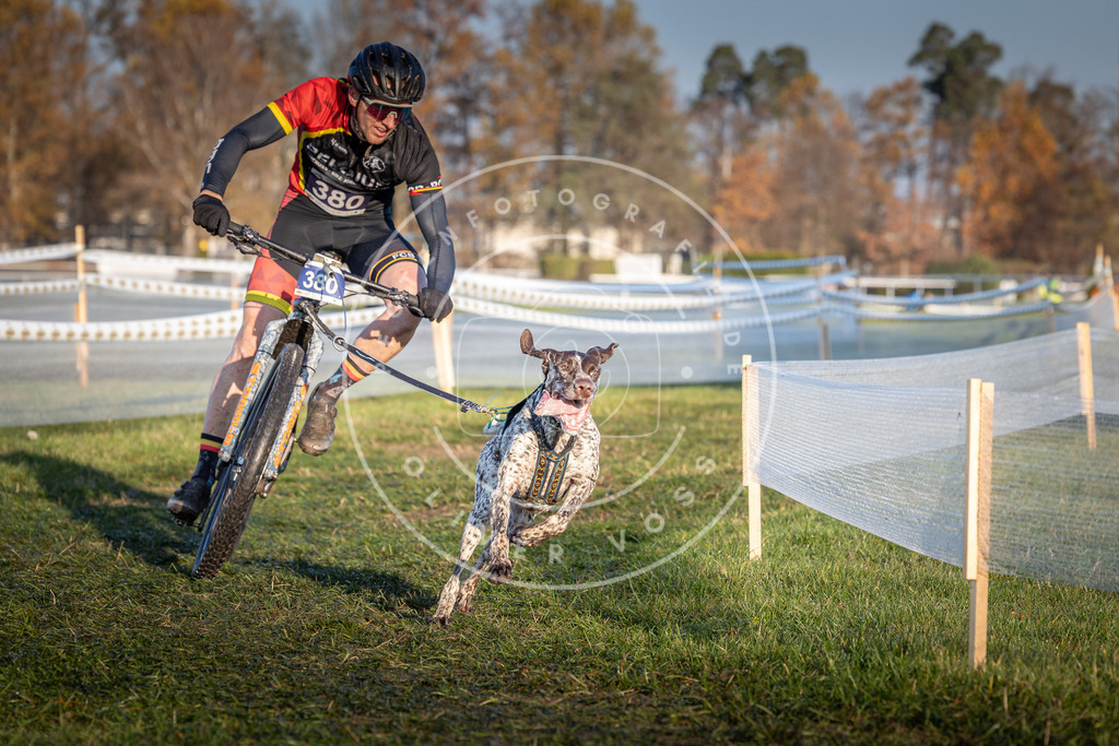 CaniXpix_0L8A3729 | Hundefotografie, Tierfotograf, Pfotenfotografie, Fotoshooting Hund, Hunde Portrait, Hundesport, Hundeportraits, Heideshooting, Hunde, Sportfotograf, Hundefotograf, Turnierhundsport, THS,  - Realisiert mit Pictrs.com