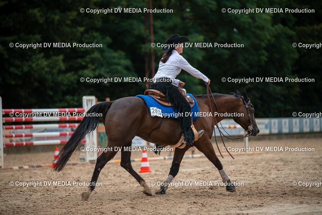 ZS2_8652 | dv-media-shop - Realisiert mit Pictrs.com