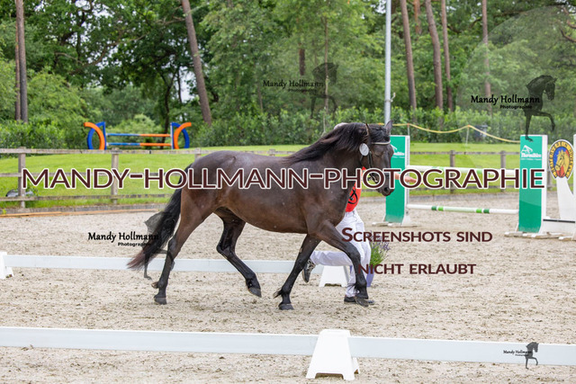 27 (14 von 34) | mandyhollmannphotographie