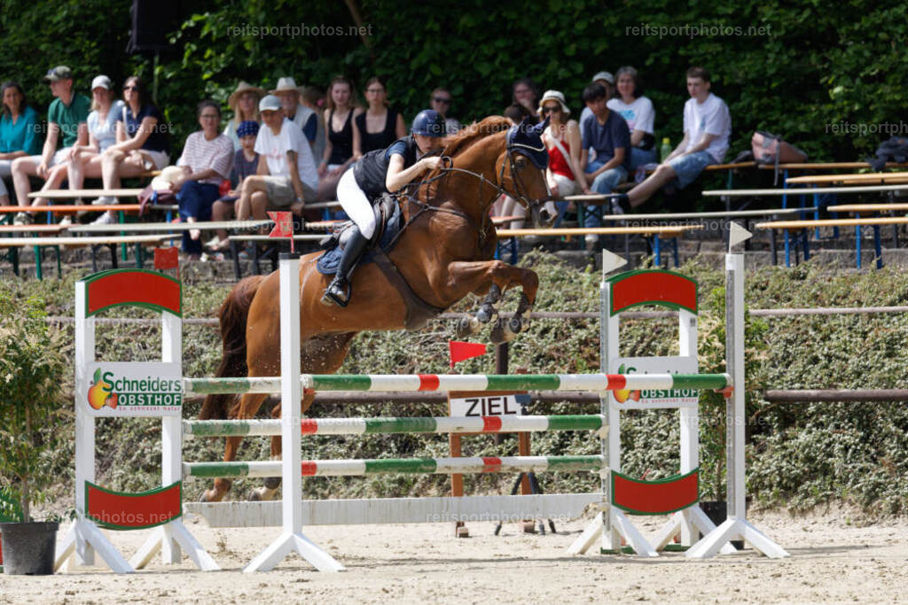 JHE31353 | JoYa Fotografie - Realisiert mit Pictrs.com
