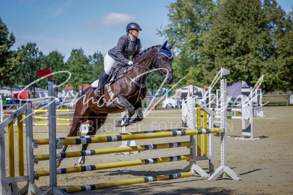20250906-_3LI4192 | Tierfotografie Pferde, Hunde, Katzen, Haustiere.
Turnierfotografie Reitturniere, Reiten, Springreiten, Dressur in Hanau, dem Main-Kinzig-Kreis und dem Rhein-Main- Gebiet um Frankfurt