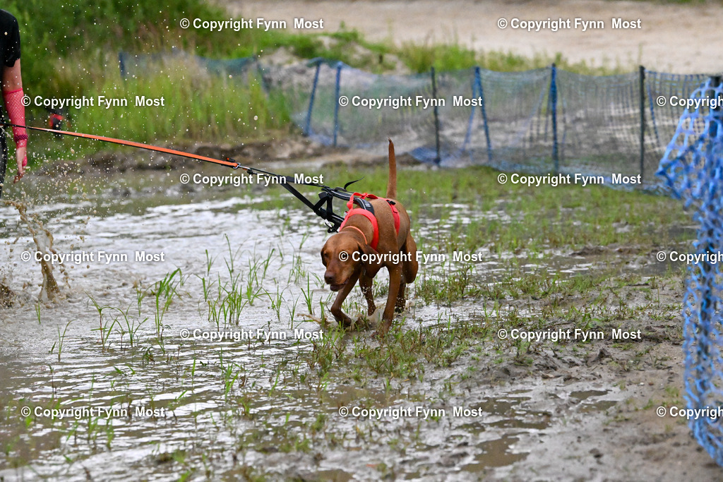 DSC_1339 | Hallo und herzlich Willkommen auf meiner Shop-Seite Fynn Most.

Ich wünsche Dir viel Spaß beim stöbern durch die Bilder, wenn Du Fragen hast oder Bilder vermisst, kannst du mir gerne eine Nachricht schreiben. - Realisiert mit Pictrs.com