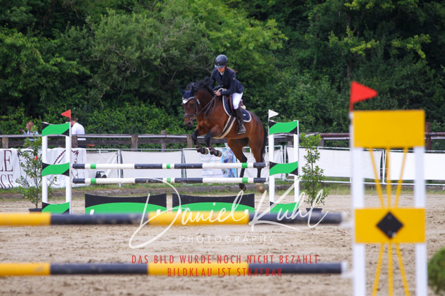 DKP41968 | Turniersportfotografie; Pferdefotografie; Dressurfotografie