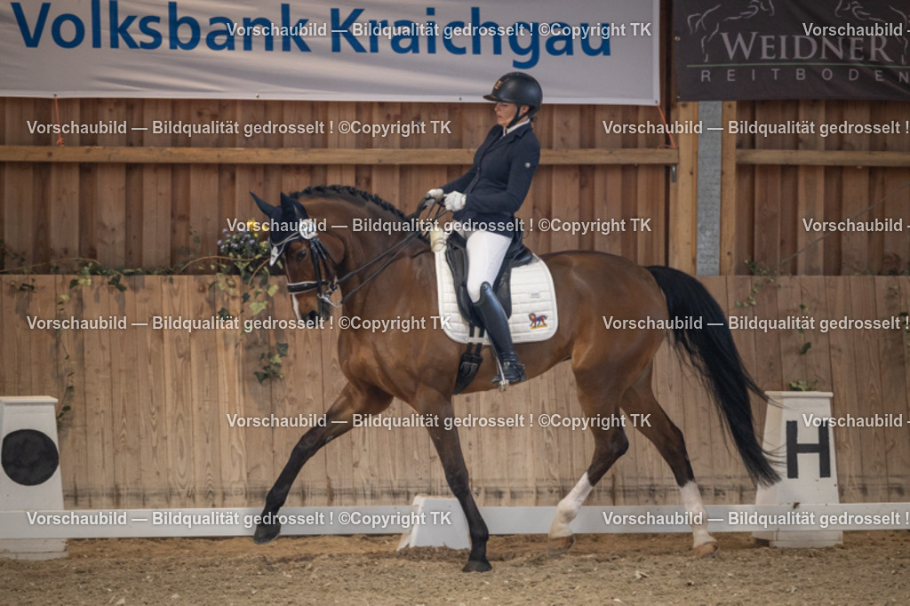 _D5A5951 | Emotionale Pferde- & People-Fotografie rund um Heidelberg, Leimen & Umgebung. Natürliche Fotos von Pferd, Mensch & Familie. Jetzt Termin sichern!