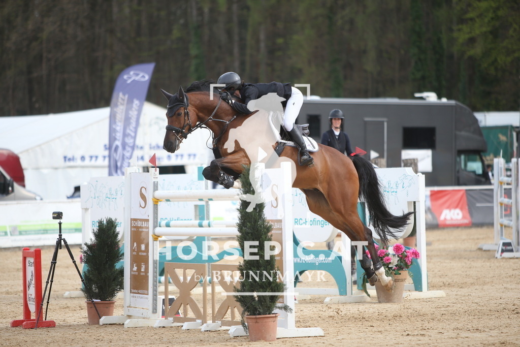 PP018533 | Willkommen bei Brunnmayr - Design & Fotografie – Ihrem Spezialisten für Reitturniere und Pferdeveranstaltungen in Oberösterreich, Salzburg und Bayern! Seit über 17 Jahren sind wir leidenschaftlich dabei.