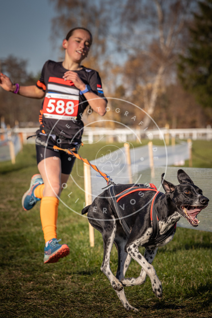 CaniXpix_0L8A8318 | Hundefotografie, Tierfotograf, Pfotenfotografie, Fotoshooting Hund, Hunde Portrait, Hundesport, Hundeportraits, Heideshooting, Hunde, Sportfotograf, Hundefotograf, Turnierhundsport, THS,  - Realisiert mit Pictrs.com