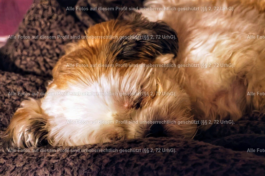 20240226204202_0C4A1969_2-01 | krollfotografie - Realisiert mit Pictrs.com