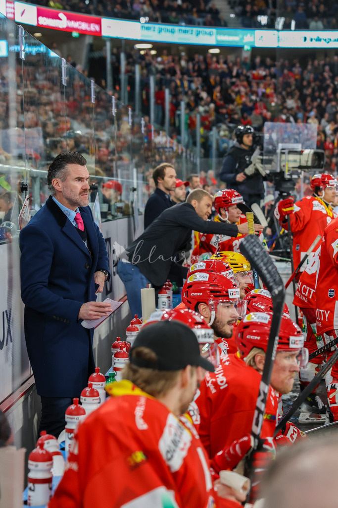 EHCB vs ZSC 20260130_wb-0117 | Sportbilder, Sportfotograf, Hochzeits- und Eventfotografin, Flugshows, Portraits und Tiershooting, Aviation, Downhill, Nationalleague, Swissleague, International