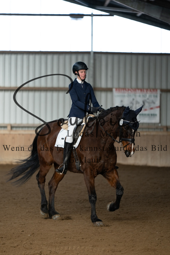 A7V05480 | Pferdefotograf