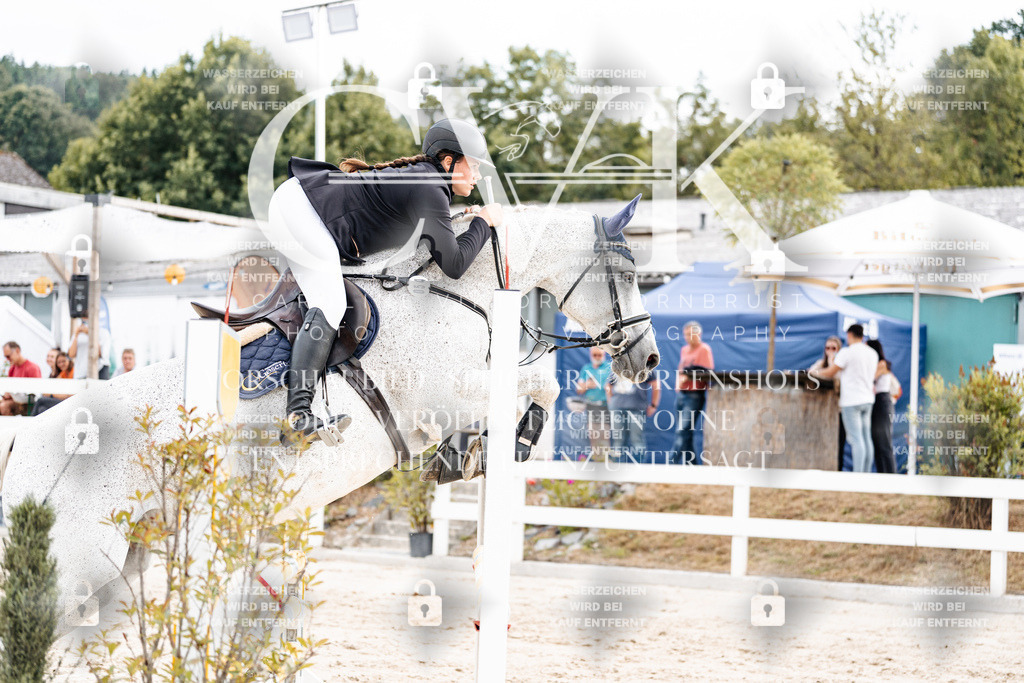CK902427 | Turnierfotografie Pferdefotografie Trier Rheinland-Pfalz Pferdesport Reitsport Tierfotografie Sportfotografie Pferdevideo Pferdevideografie Equestrianvideography equestrianphotography  - Realisiert mit Pictrs.com