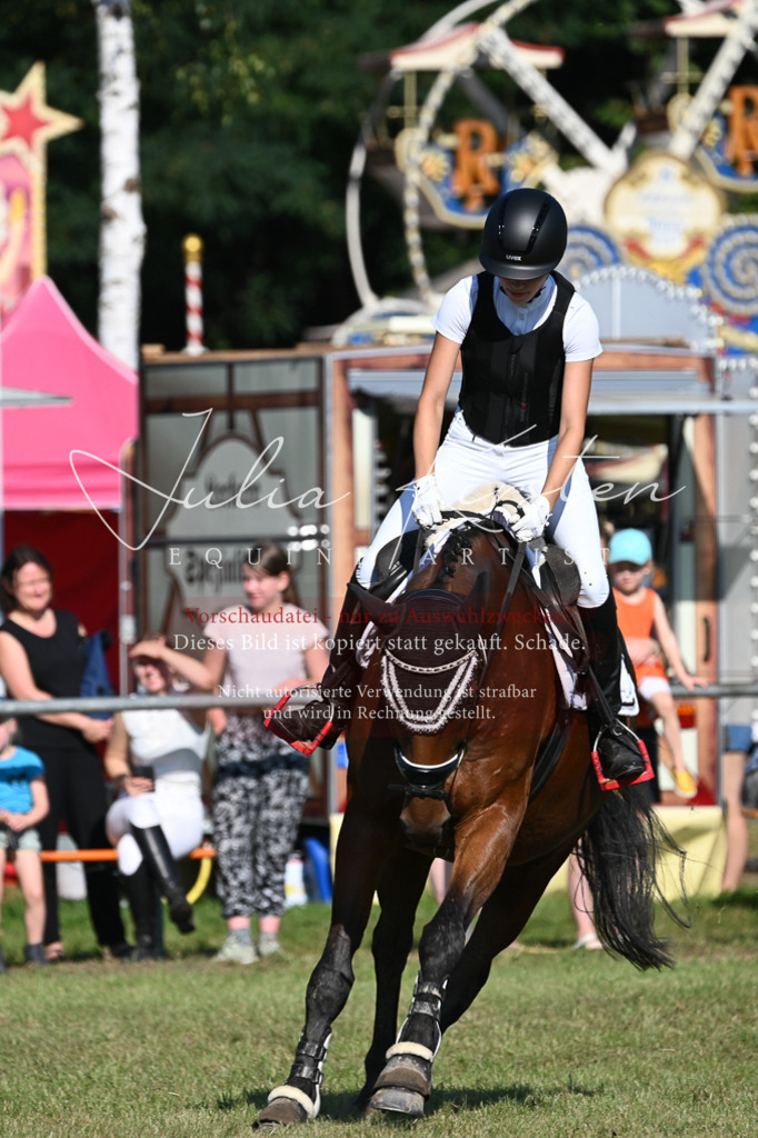 DSC_5294 | Pferde- und Turnierfotografie in Westsachsen. Pferdeportraits, Auftragszeichnungen und intuitive Kunst.