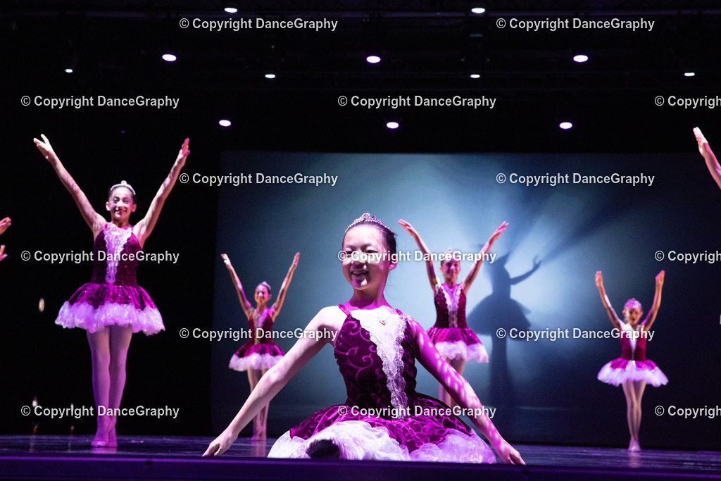 GPHY6472 | DanceGraphy - Realisiert mit Pictrs.com