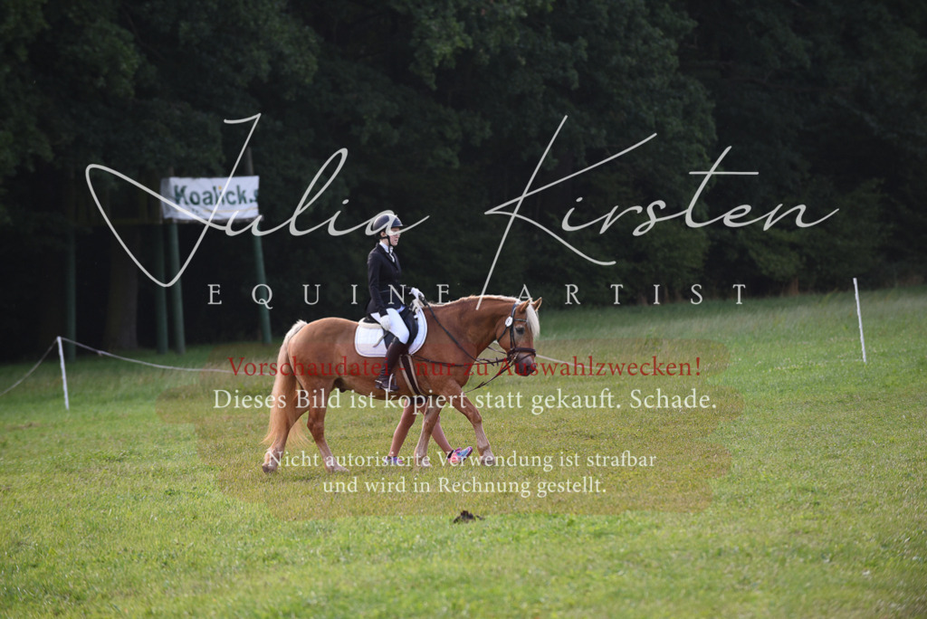 DSC_8577 | Pferde- und Turnierfotografie in Westsachsen. Pferdeportraits, Auftragszeichnungen und intuitive Kunst.