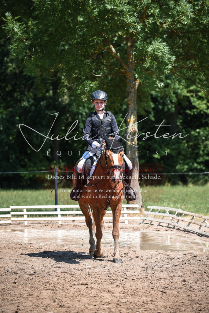 DSC_3245 | Pferde- und Turnierfotografie in Westsachsen. Pferdeportraits, Auftragszeichnungen und intuitive Kunst.