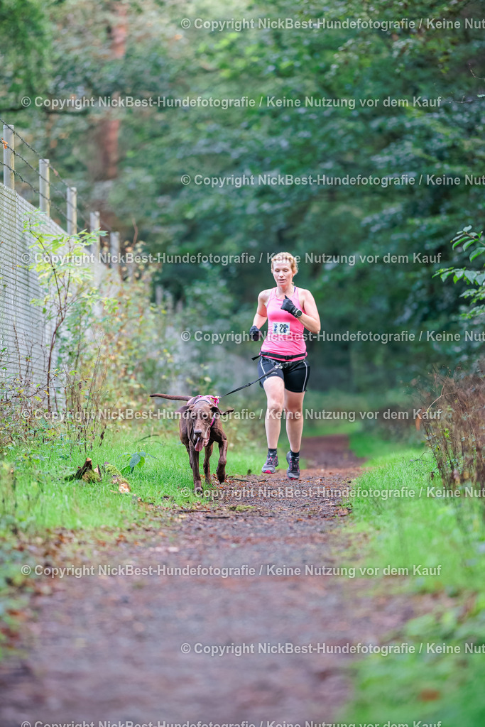 THS-HSV-Blumenthal-2026-Nickbest-Hundefotografie-0406 | Dein Hund! Dein Moment! Deine Erinnerungen! Hundefotografie in Bremen Blumenthal. Ich fange die besonderen Momente deines Vierbeiners ein – ob Indoor mit Blitzanlage oder in der freien Natur. Sicher dir dein Moment und dein Termin für eure Erinnerungen.