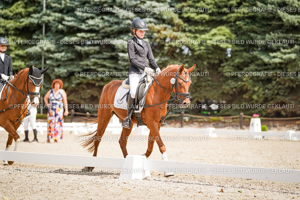 DSC02508 | Pferdegrafie