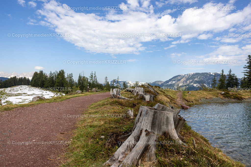 _J3A5625 | medienkrizzler - Realisiert mit Pictrs.com