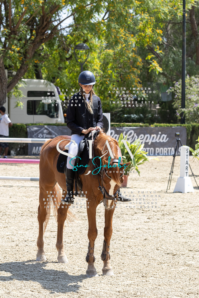 IMG_3140 | s-jay-photography - Realisiert mit Pictrs.com