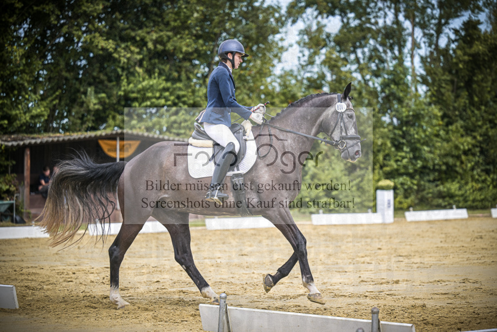 DOS_2153 | Entdecke hochwertige Reitturnierfotos von Foto Oger. Professionell, emotional und authentisch – jetzt Lieblingsmomente im Shop bestellen.Deutschlandweite Turnierfotografie. - Realisiert mit Pictrs.com
