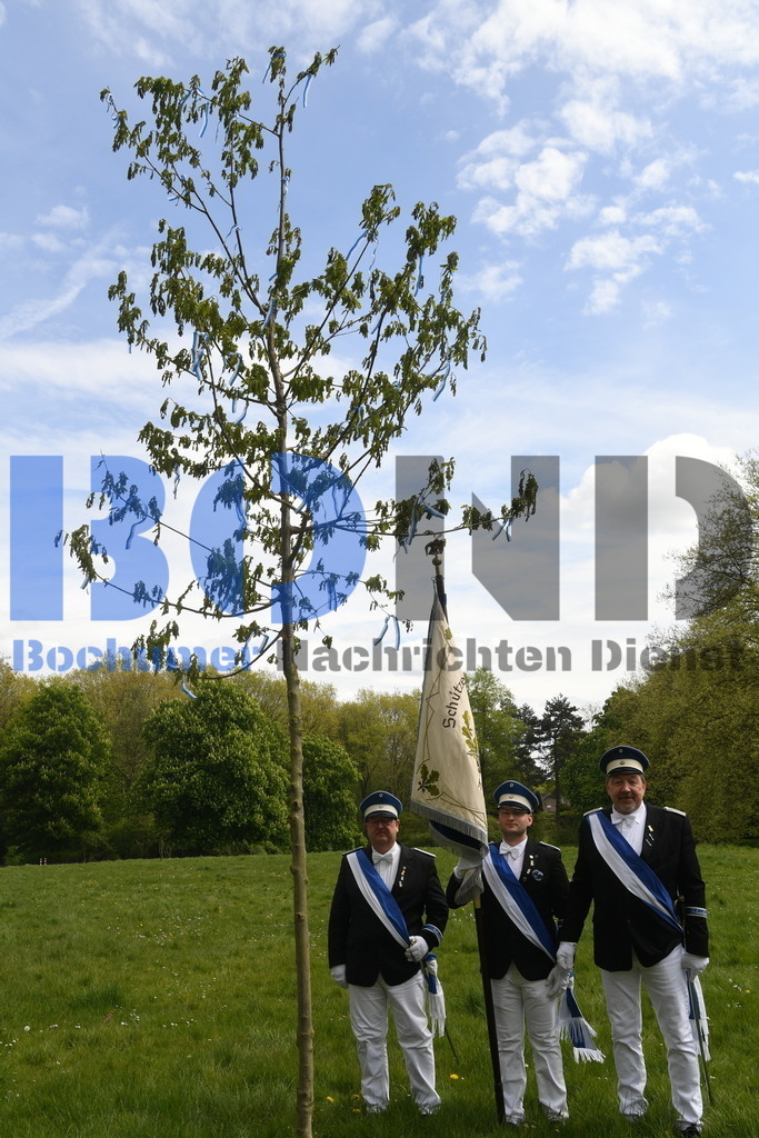 636. Maiabendfest 2024 | {headline}



(Foto: Christian Schnaubelt / BOND)

 - Realisiert mit Pictrs.com