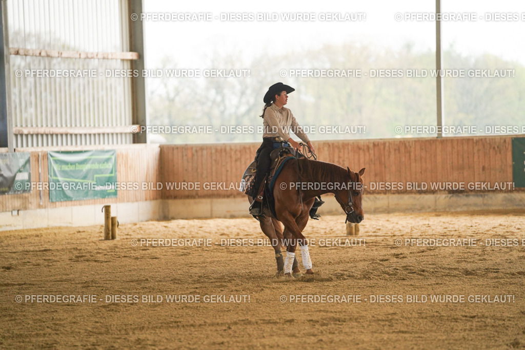 DSC00094 | Pferdegrafie