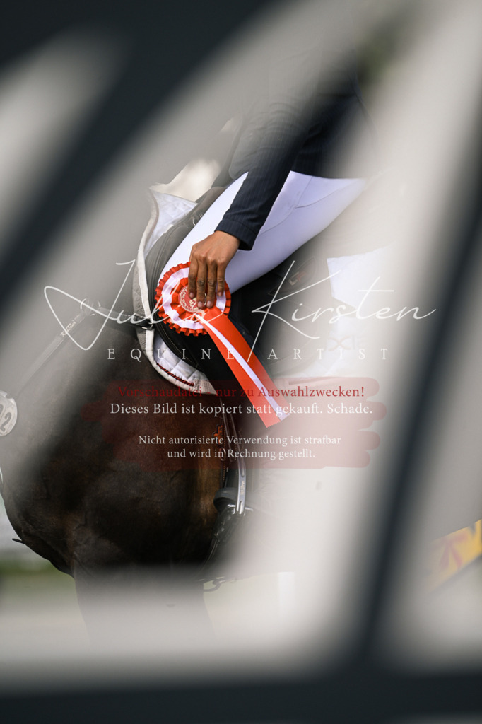 DSC_0707 | Pferde- und Turnierfotografie in Westsachsen. Pferdeportraits, Auftragszeichnungen und intuitive Kunst.