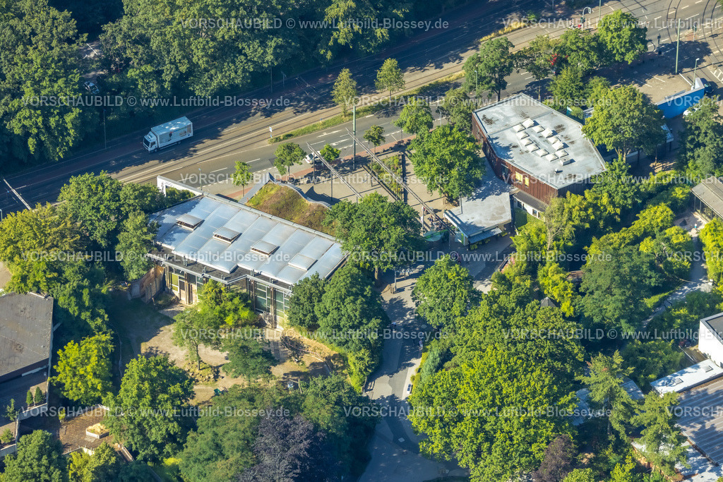 Duisburg230706037 | Luftbild, Zoo Duisburg, Duissern, Duisburg, Ruhrgebiet, Nordrhein-Westfalen, Deutschland