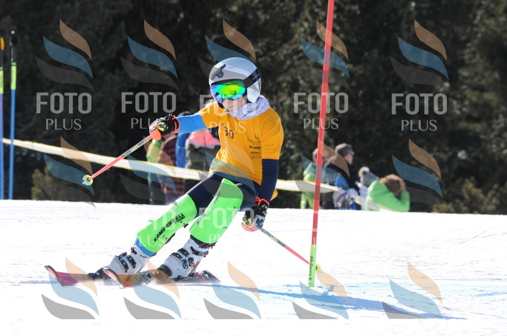 C7213 | holidayphoto