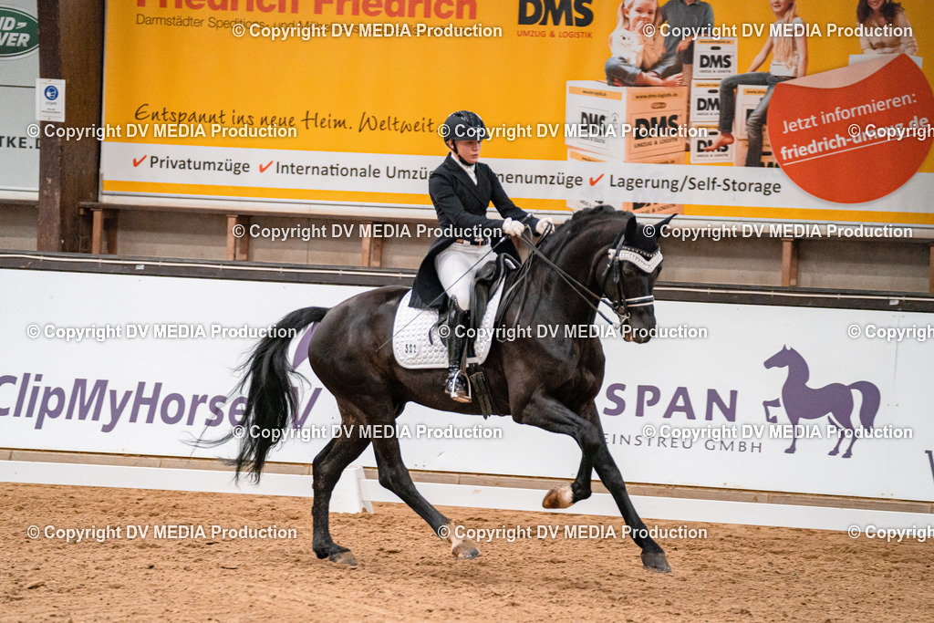 Kranichstein Tag 1-569 | dv-media-shop - Realisiert mit Pictrs.com