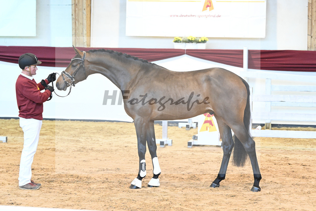 Kat-Nr. 60 v. Zinedream_Schreder_66221347 | hf-fotografie - Realisiert mit Pictrs.com