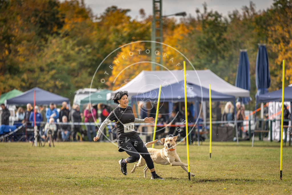 Pfotenfotografie_DV3A7122 | Hundefotografie, Tierfotograf, Pfotenfotografie, Fotoshooting Hund, Hunde Portrait, Hundesport, Hundeportraits, Heideshooting, Hunde, Sportfotograf, Hundefotograf, Turnierhundsport, THS,  - Realisiert mit Pictrs.com