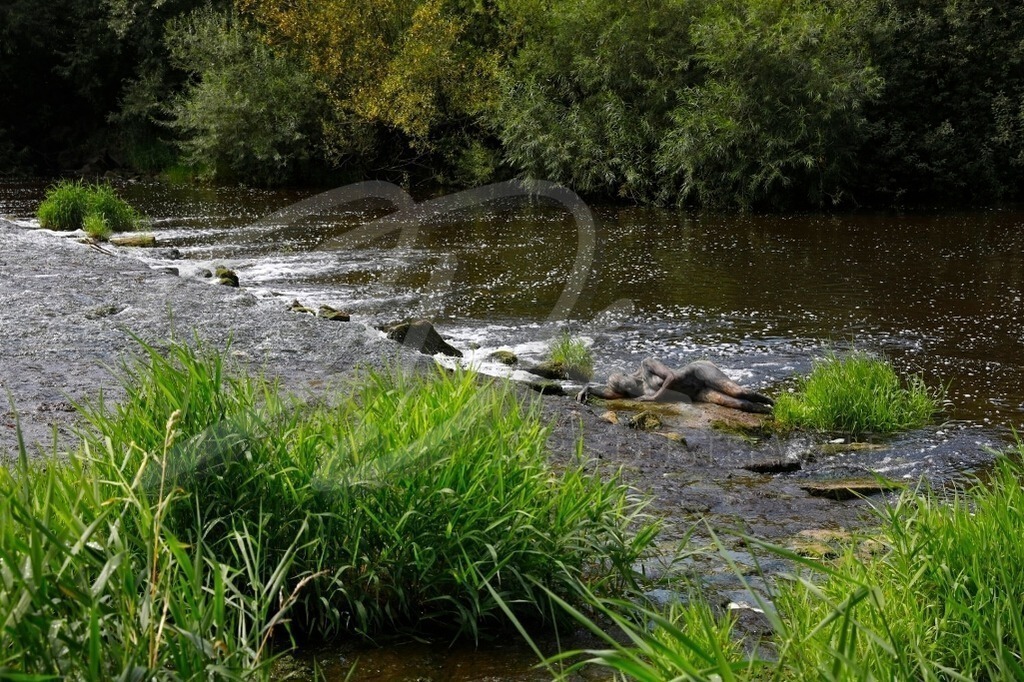 NatureArt-FLUSSWEHR_1227 | Wasser um sie herum | #003 | Modell: Daniela | Foto: Tschiponnique Skupin - Realisiert mit Pictrs.com