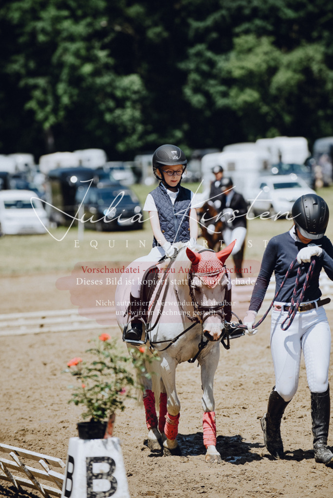 DSC_2401 | Pferde- und Turnierfotografie in Westsachsen. Pferdeportraits, Auftragszeichnungen und intuitive Kunst.