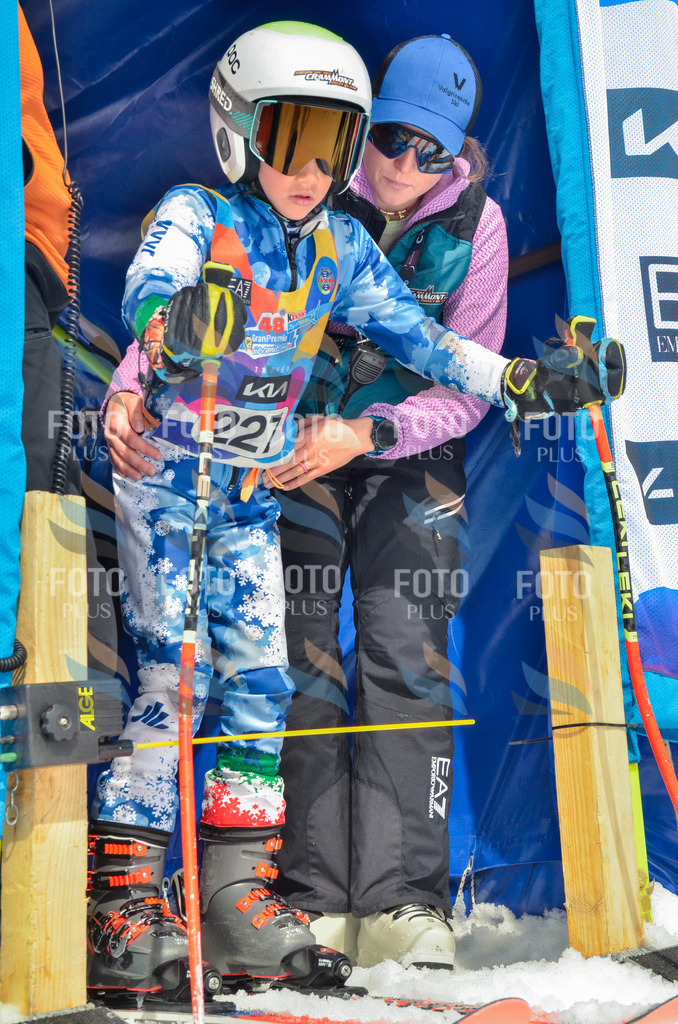 _ELE7253 | holidayphoto