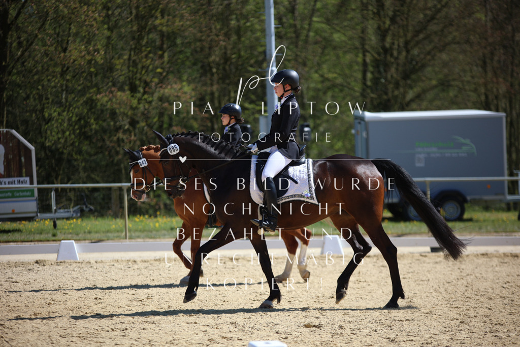 IMGT1526 | pl-fotografie